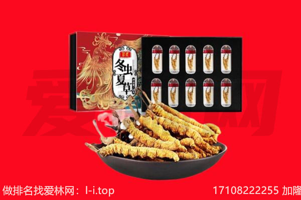 洪泽区回收虫草.jpg
